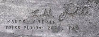 Radek Andrle prodej