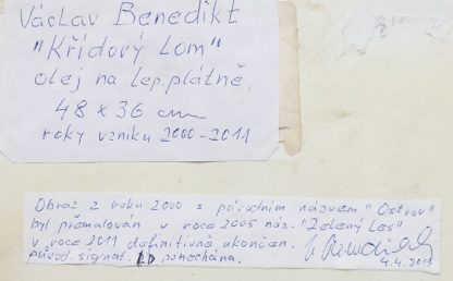 Václav Benedikt